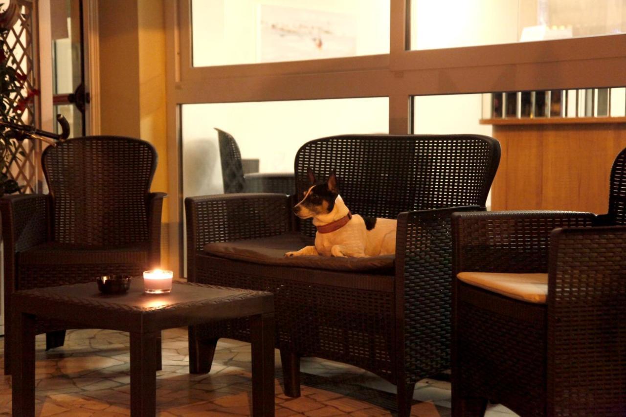 Hotel Alfa